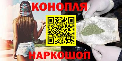 spice Кингисепп