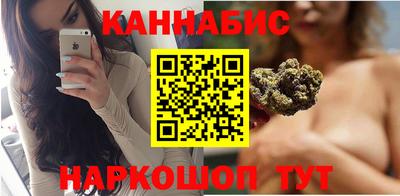 spice Кингисепп