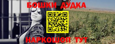 spice Кингисепп