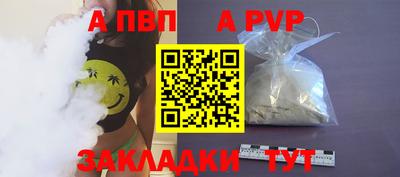 spice Кингисепп