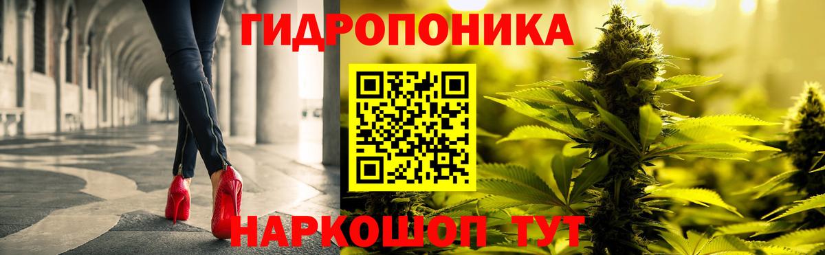 Шишки марихуана конопля Кольчугино